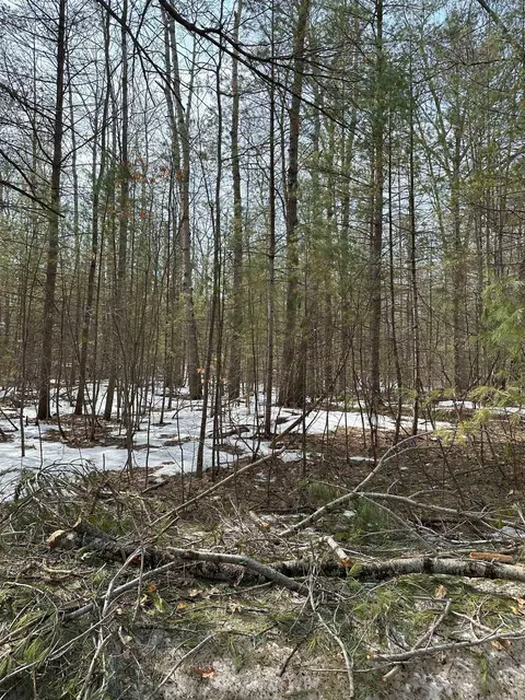 00 E Bear Lk, Kalkaska, MI 49646