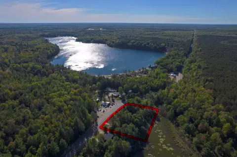 11373 NE Starvation Lk, Mancelona, MI 49659