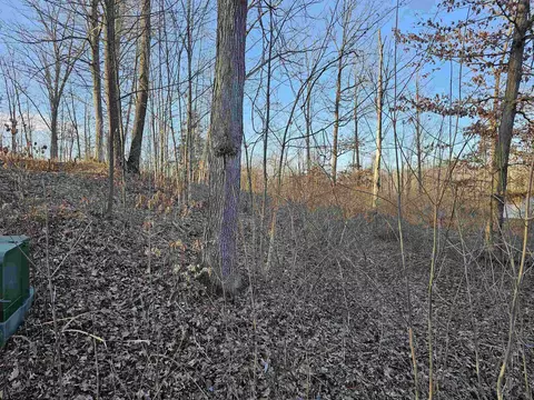 V/l Oak, Hale, MI 48739