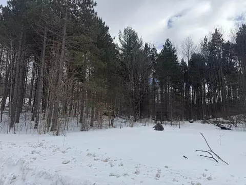 4961 NW Nw Hl, Rapid City, MI 49676