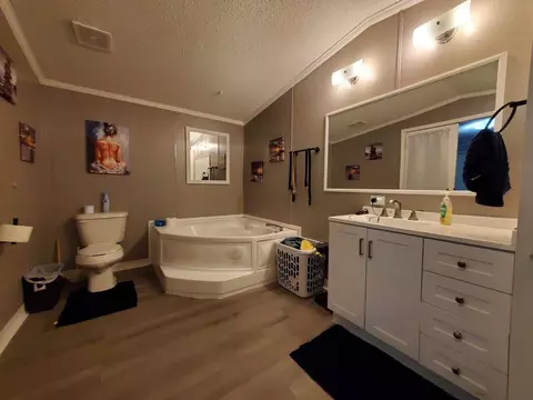Bath - 13117 45th, Remus, MI 49340 photo 1 of 3
