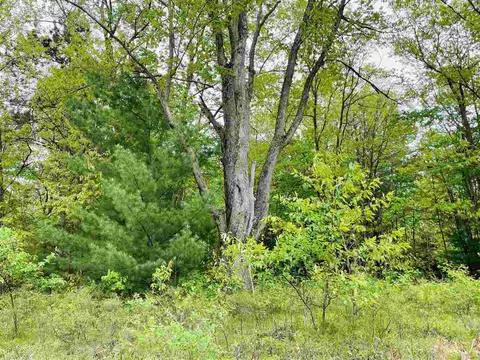 lot22 River Woods, Lake City, MI 49651