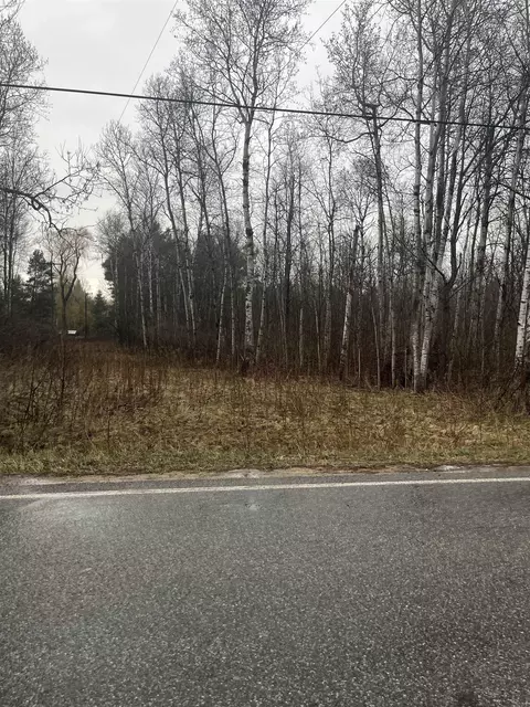0 N Michigan, Manton, MI 49663