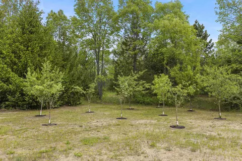 Exterior - 18090 Read, Copemish, MI 49625 photo 10 of 12