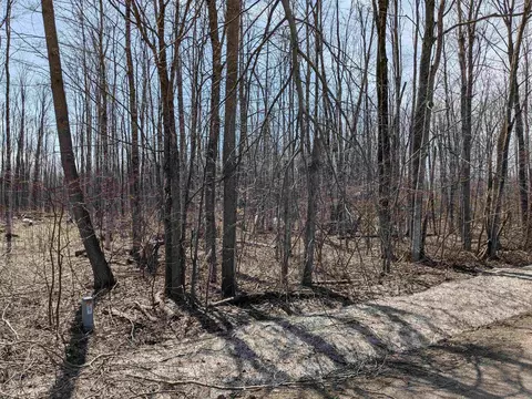 5176 Mancelona #LOT : 5, Mancelona, MI 49659