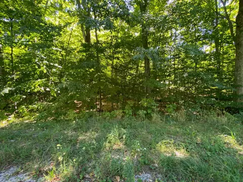 lot135 E Cherry, Cedar, MI 49621 photo 3