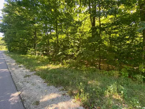 lot135 E Cherry, Cedar, MI 49621