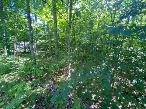 lot135 E Cherry, Cedar, MI 49621 photo 4