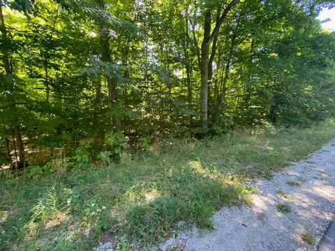 lot135 E Cherry, Cedar, MI 49621 photo 5