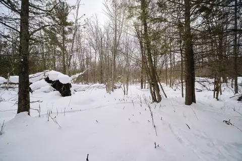 15837 Erwin, Copemish, MI 49625 photo 6
