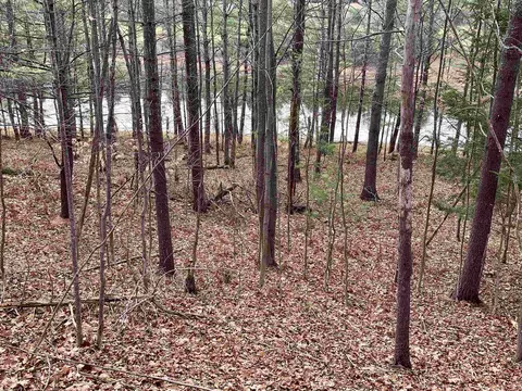 00 Lazy Rdg # C, Lake Ann, MI 49650