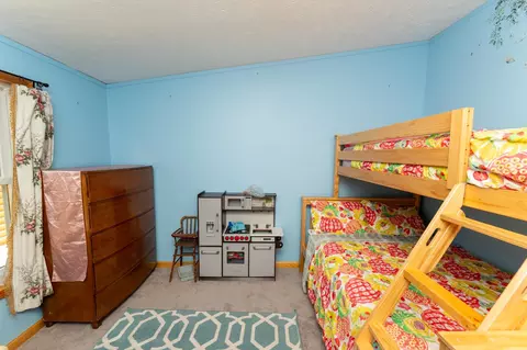 1014 S Coleman, Shepherd, MI 48883 photo 30
