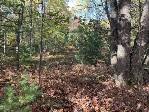 Vl Forest, Cadillac, MI 49601