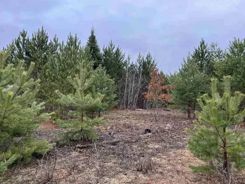 10299 Levi, Kingsley, MI 49649