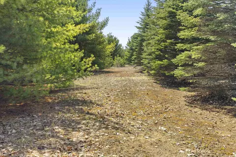 Parcel A-2 Stanley, Beulah, MI 49617 photo 3