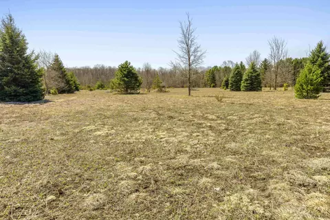 Parcel A-2 Stanley, Beulah, MI 49617 photo 4