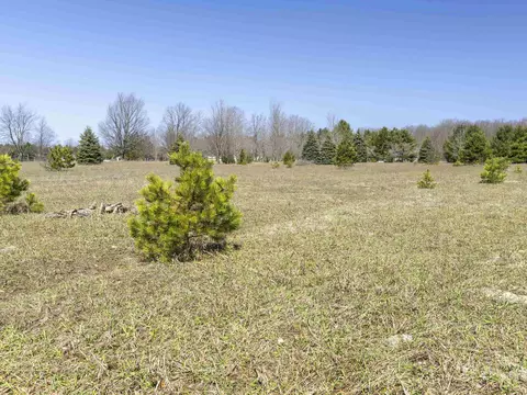 Parcel A-2 Stanley, Beulah, MI 49617 photo 6