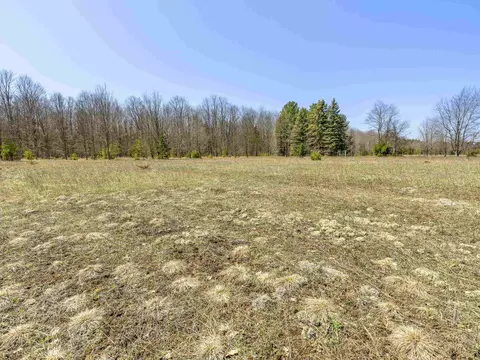 Parcel A-2 Stanley, Beulah, MI 49617 photo 9