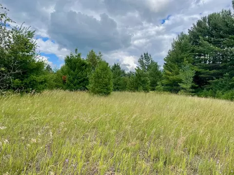 969 987 Quail, Kalkaska, MI 49646