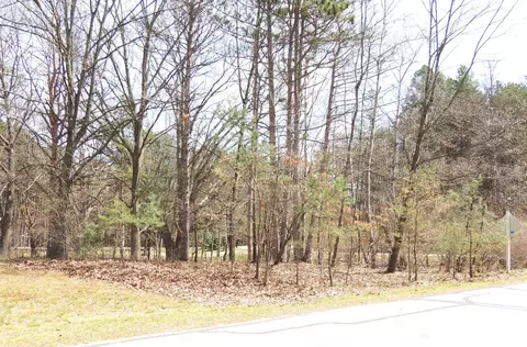1026 York #LOT 250, Lake Isabella, MI 48893