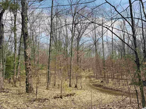 11651 E 22 34, Manton, MI 49663 photo 4