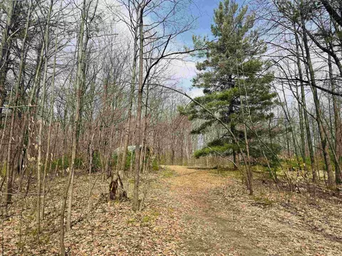 11651 E 22 34, Manton, MI 49663 photo 2