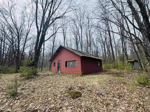 11651 E 22 34, Manton, MI 49663 photo 16