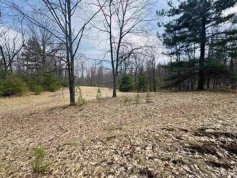 11651 E 22 34, Manton, MI 49663 photo 18