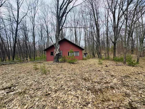 11651 E 22 34, Manton, MI 49663 photo 19