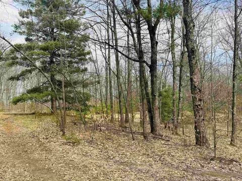 11651 E 22 34, Manton, MI 49663 photo 3