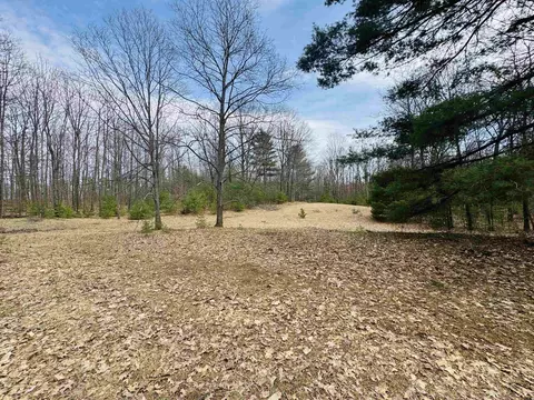 11651 E 22 34, Manton, MI 49663 photo 9