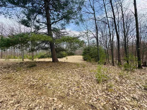 11651 E 22 34, Manton, MI 49663 photo 7