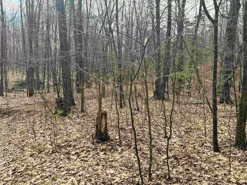 11651 E 22 34, Manton, MI 49663 photo 5