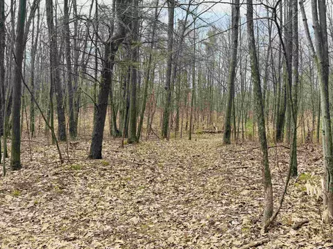 11651 E 22 34, Manton, MI 49663 photo 6