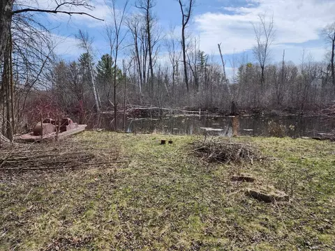 7549 Cove, Hale, MI 48739