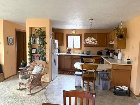 991 E Bellinger, Cedar, MI 49621 photo 4
