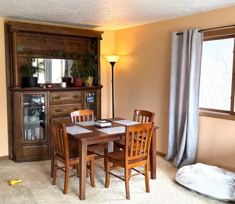 991 E Bellinger, Cedar, MI 49621 photo 8