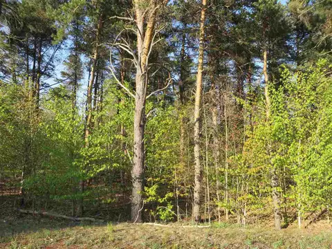 10 5 Spruce Holw, Fife Lake, MI 49633