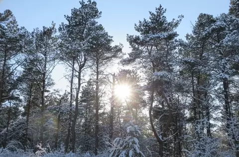 Parcel F-3 N 2 1/2, Buckley, MI 49620