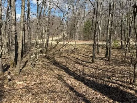 ticino LOT : 353, Reed City, MI 49677