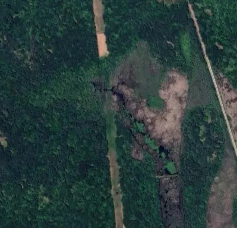 V/l Firelane, Lake, MI 48632