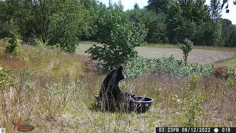 V/l Parcel B E 18 1/2, Manton, MI 49663 photo 13