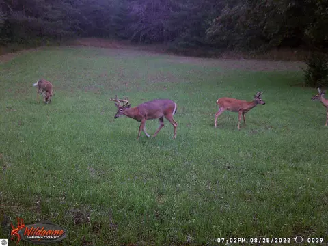 V/l Parcel B E 18 1/2, Manton, MI 49663 photo 11