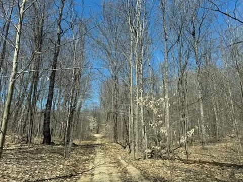 V/l 00 N Turnerville, Lake City, MI 49651