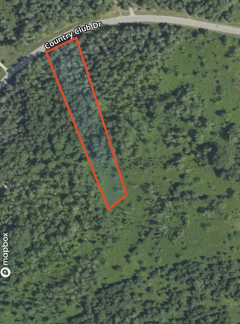 lot210 Country Clb #LOT : 210, Mancelona, MI 49659
