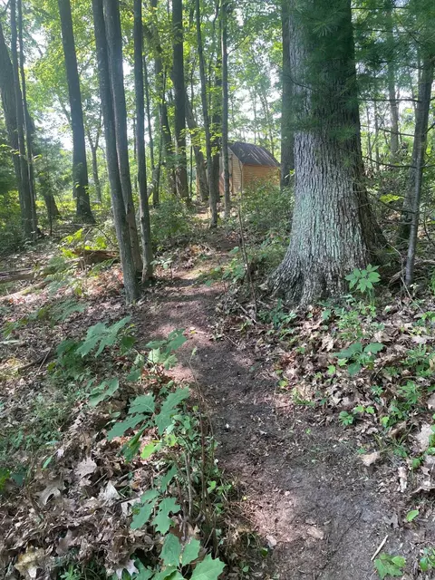 3149 Bungo, Harrison, MI 48625 photo 29