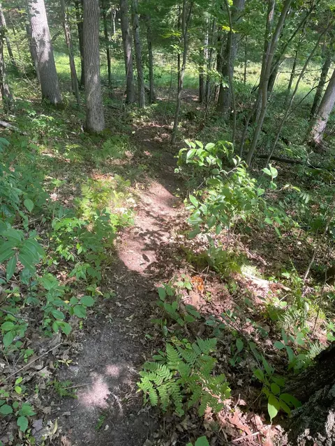 3149 Bungo, Harrison, MI 48625 photo 32
