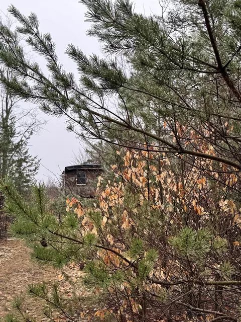 County Line, Mancelona, MI 49659