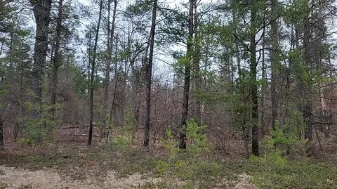 20 Acres Sandy #20 ACRES, Grayling, MI 49738 photo 4