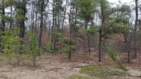 20 Acres Sandy #20 ACRES, Grayling, MI 49738